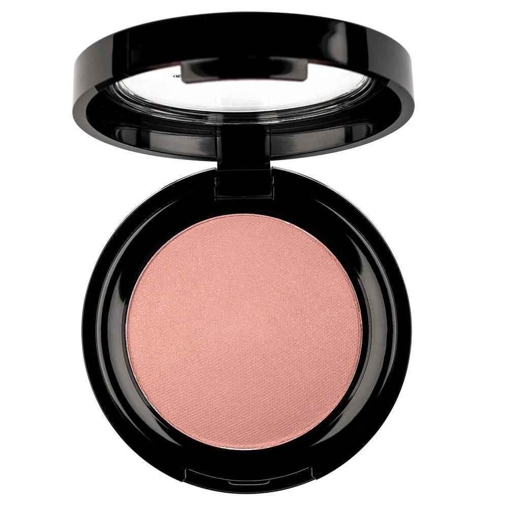Pierre Rene Professional Rouge Blush pudră 09, 6 g