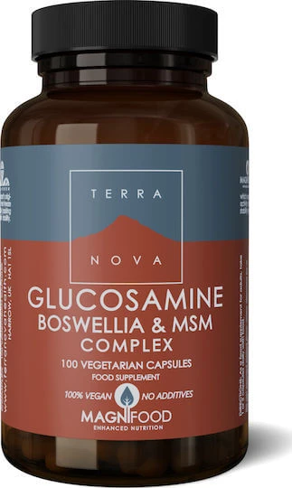 TerraNova Glucosamine Boswellia & MSM Complex Supliment pentru Sănătatea Articulațiilor & Oaselor 100 capsule veget