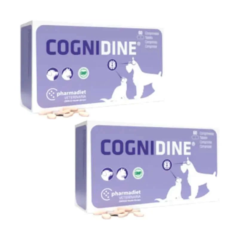 Cognidine Pack, pachet 2 x 60 comprimate