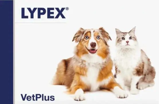 Lypex câini și pisici, 60 capsule