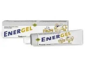 Energel pastă orală 80 gr