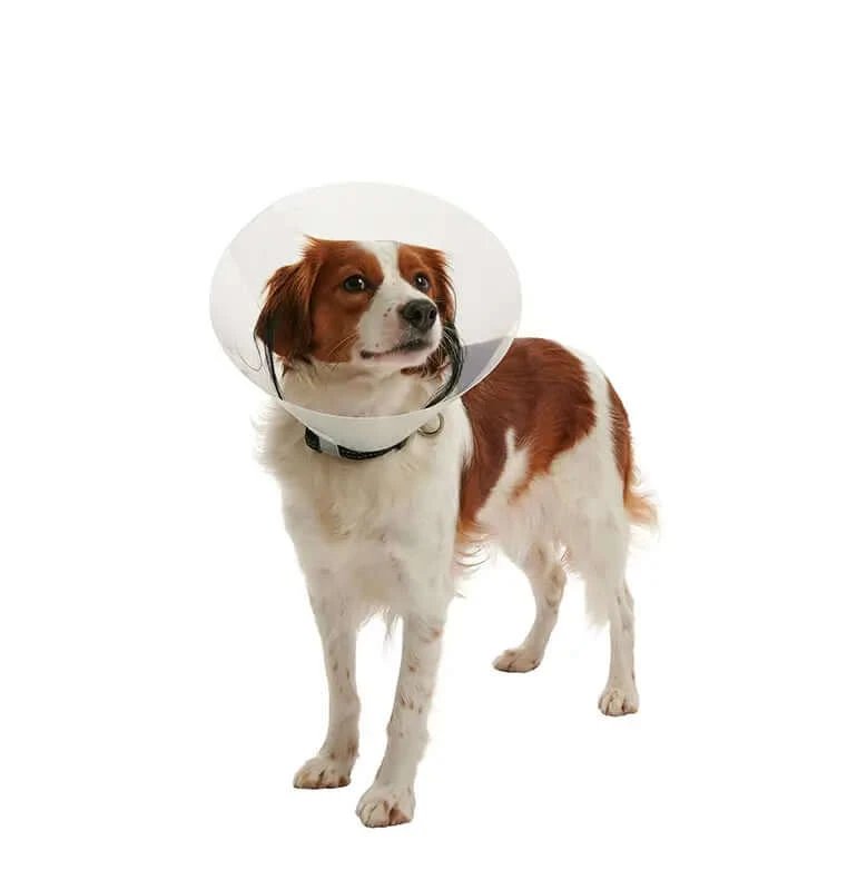 Isabelino Buster Clic Colier 30, 10pcs