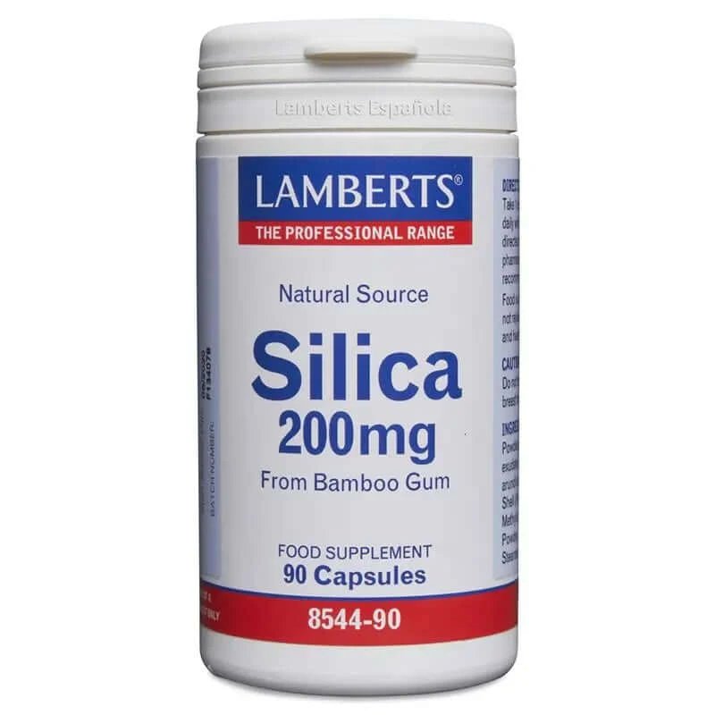 Lamberts Silicon , 90 capsule