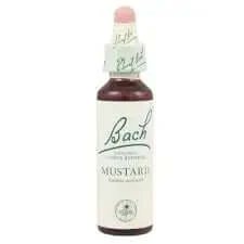 Muștar Bach 20 ml