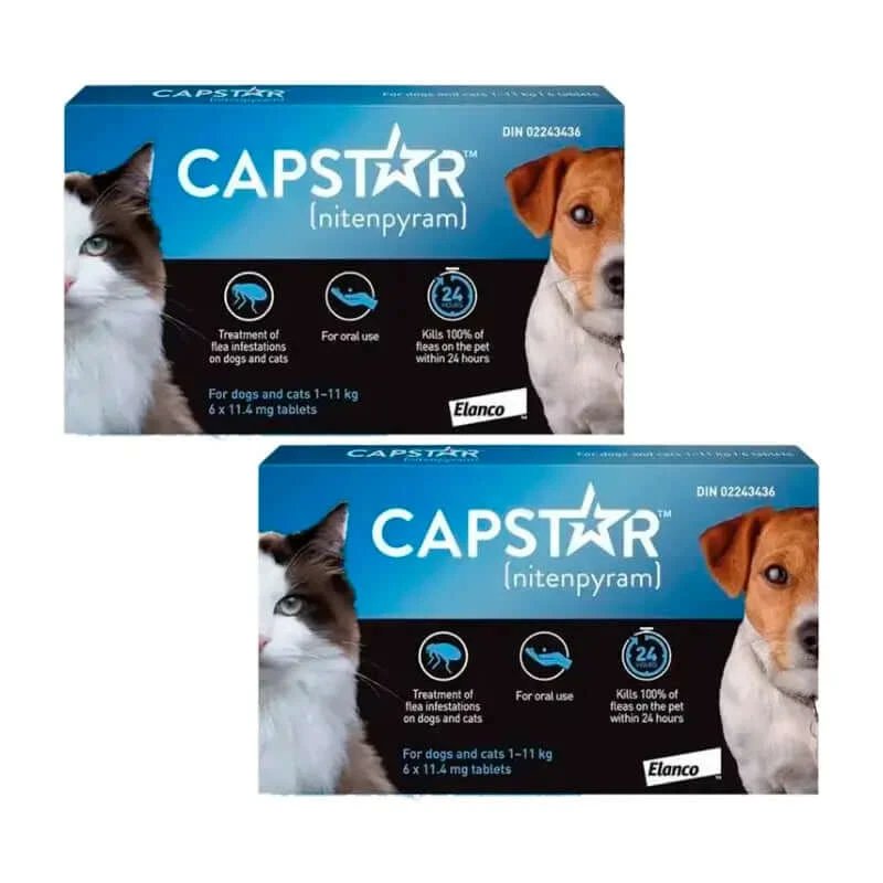 Capstar 11,45Mg Câine și pisică 1-11Kg , pachet 2 x 6 tablete