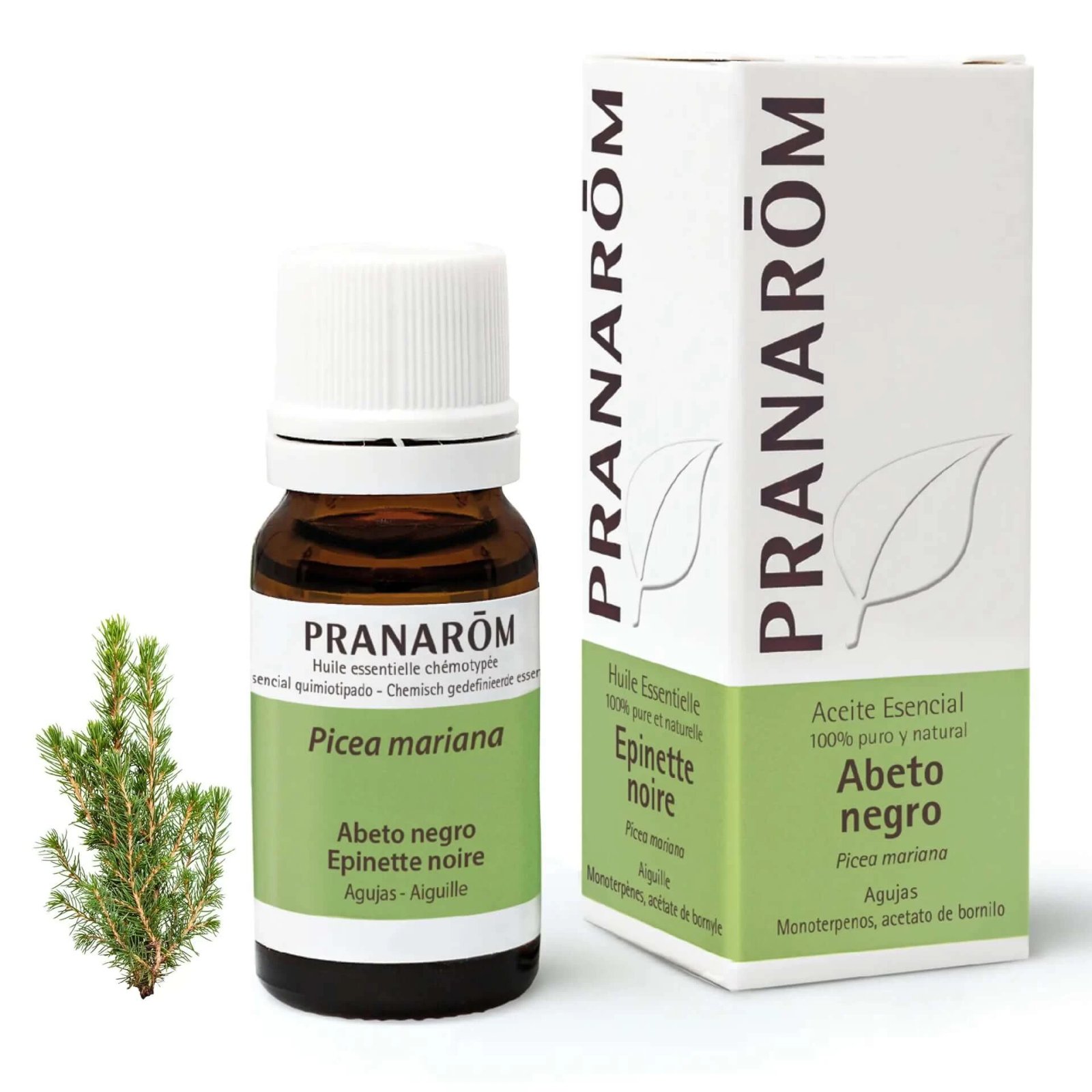 Ulei esențial de molid negru Pranarom, 10ml