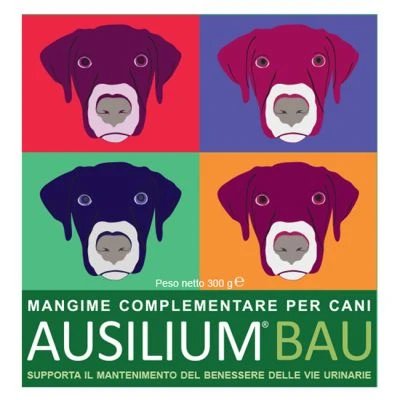 Ausilium bau 300 g cu lingură
