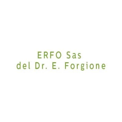 Erfodetox sirop 250 ml