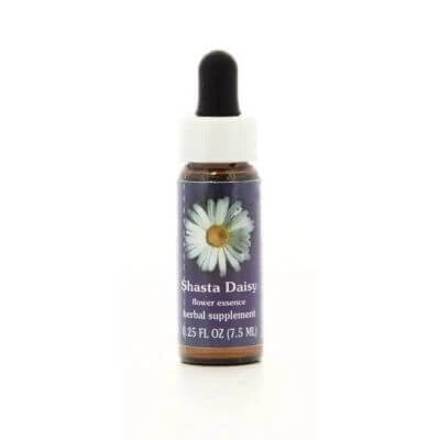 Shasta daisy ess 7,4ml vițel