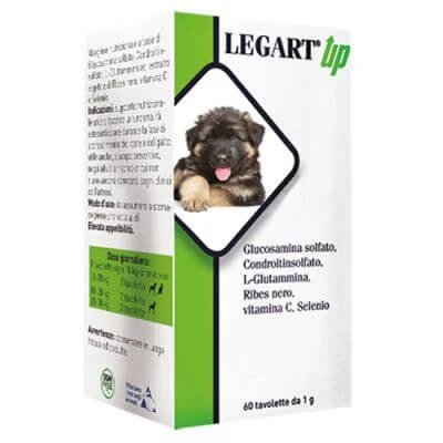 Legart up 60 comprimate de 1 g
