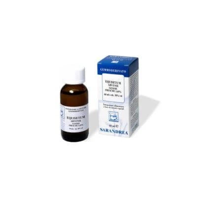 Equisetum arvense 60 ml macerat gliceric