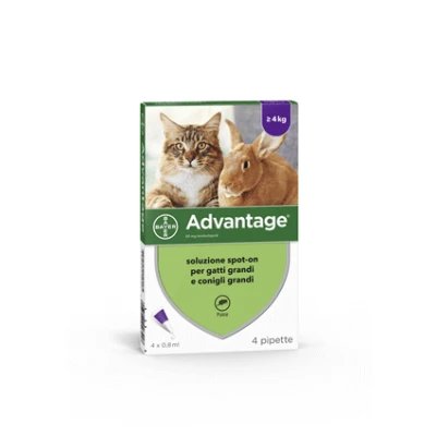 Avantaj*4pip 0.8ml spoton