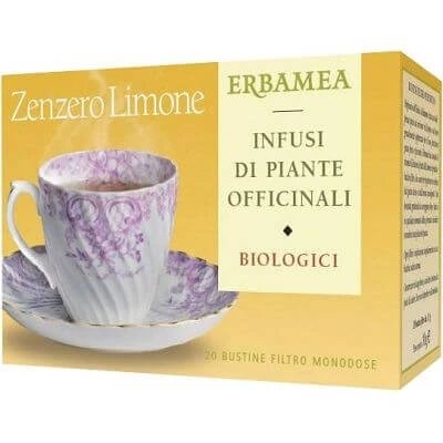 Zenzero/lim bio 20 pliculețe 30 g