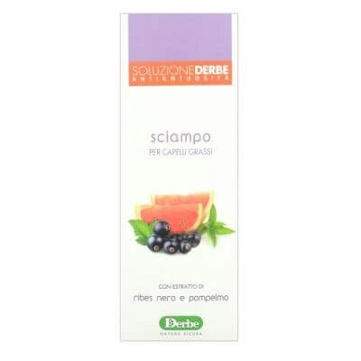 Șampon Derbe fără ulei 200 ml