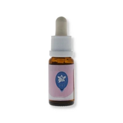 Afine 15ml cactus
