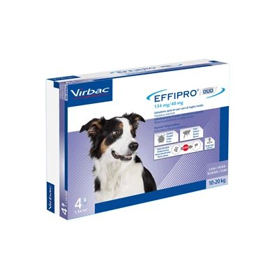 Effipro duo*4pip 10-20kg câini