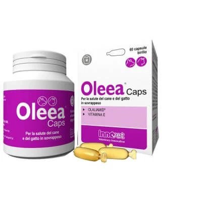 Oleea caps 60 capsule