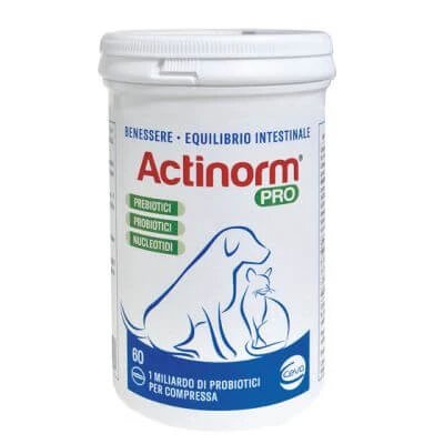 Actinorm pro flacon 60 comprimate