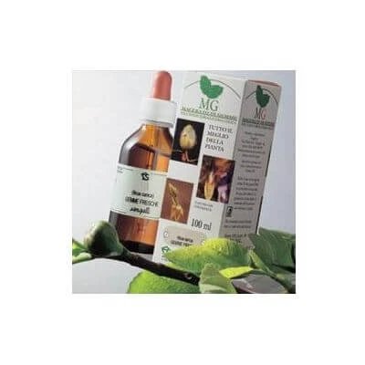 Macerat gliceric de mesteacăn 100 ml