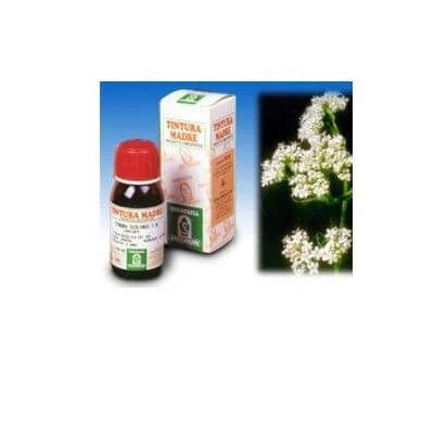 Valeriană 36 tinctură-mamă 50 ml