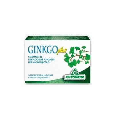 Ginkgo plus 30 capsule