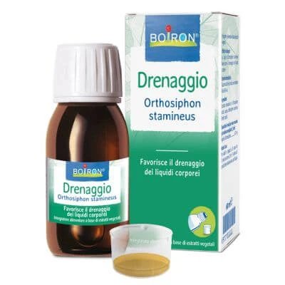 Orthosiphon stamineus extract hidroalcoolic 60 ml int
