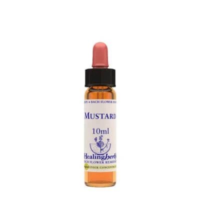 Esență de muștar 10 ml 1 bucată