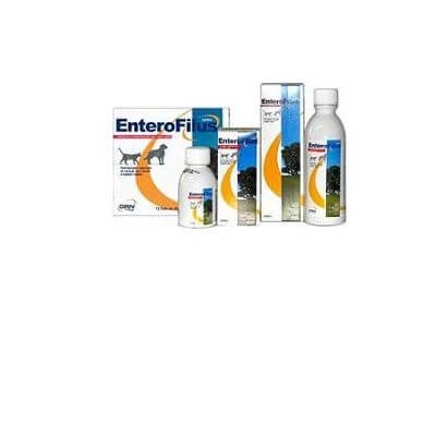 Enterofilus 12 x 10 ml