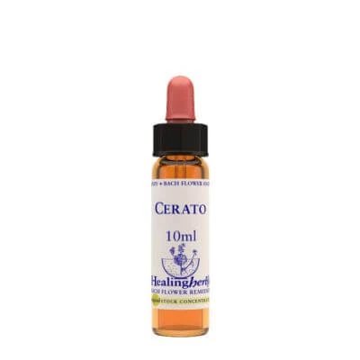 Esență de cerat 10 ml 1 bucată