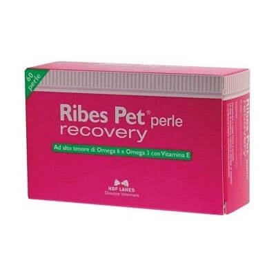 Ribes pet recuperare blister 60 perle