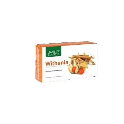Withania 60 capsule