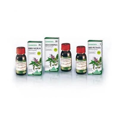 Gemmosol 46 tei argen 50ml