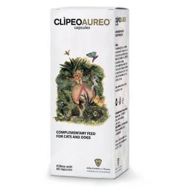 Clipeus aureus 60 capsule