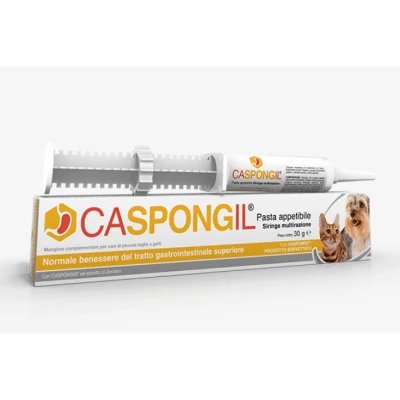 Pastă Caspongil 30 g