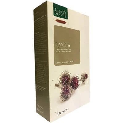 Burduf organic 20 fiole de băut de 15 ml