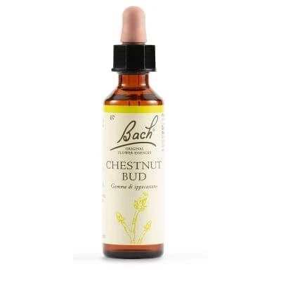 Bud de castan bach orig 20 ml