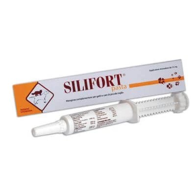 Silifort paste os seringă 30 g