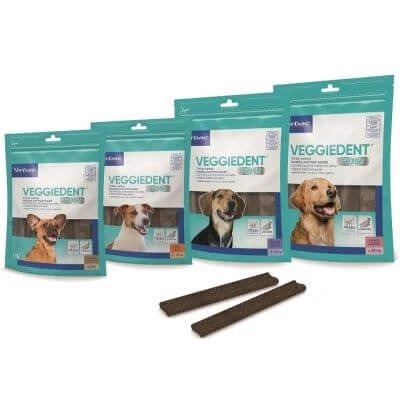 Veggiedent fr3sh l 15 sticks-uri