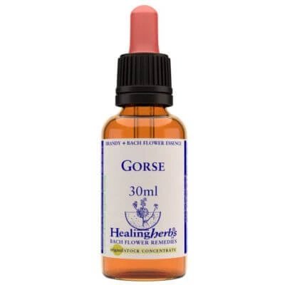 Esență de gutui 30 ml 1 bucată