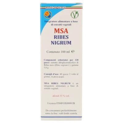 Msa currant nigrum 100 ml