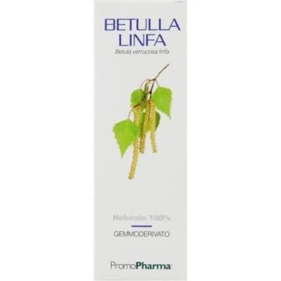 Extract de muguri de sevă de mesteacăn 100 ml