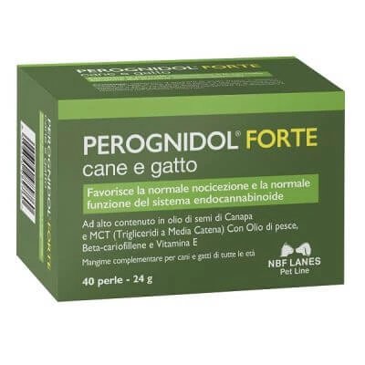 Perle Perognidol forte