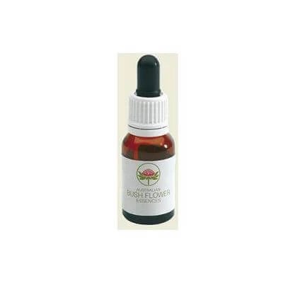 Red suva frangipani australian 15 ml
