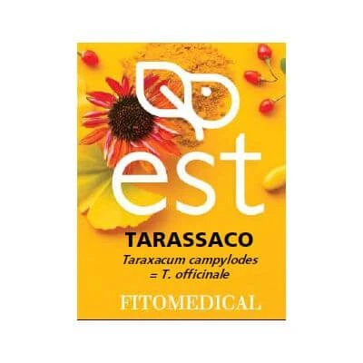 Dandelion extract uscat 60 comprimate