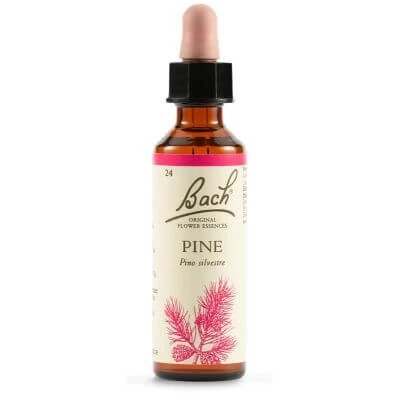 Pin bach orig 20 ml