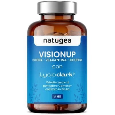 Visionup 60 comprimate