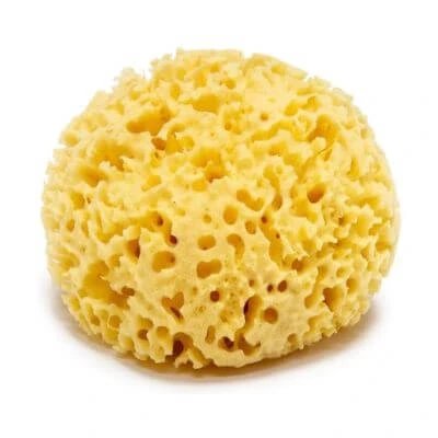 Arhipelag burete de mare natural 8 cm