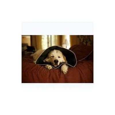 Con confortabil guler Elizabethan inovatoare m diametru 20 cm
