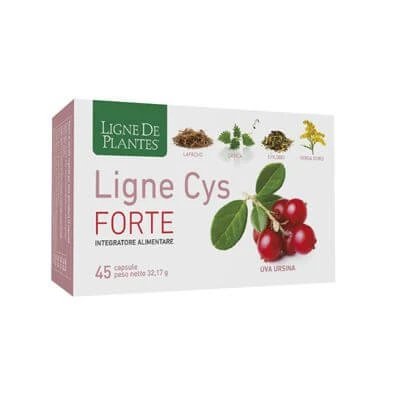 Ligne cys forte 45 capsule