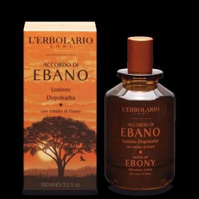 Loțiune aftershave Ebony Accord 100 ml